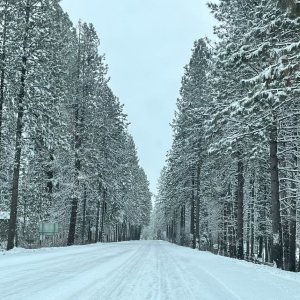 IMG_1679.JPG