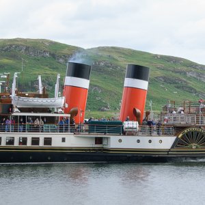headerWaverley.jpg