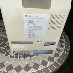 IMG_4484.jpeg