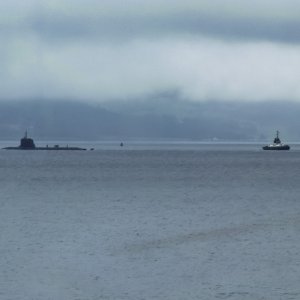Clyde20260225.jpg