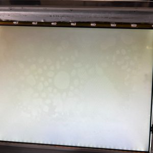 IMG_8571.jpeg