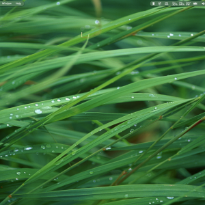 Screenshot 2026-03-01 at 7.31.24 PM.png