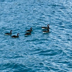 IMG_3552.JPG