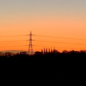IMG_9032.jpeg