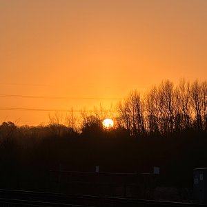 IMG_9068.jpeg