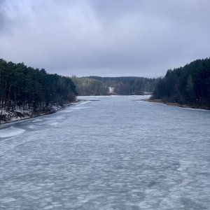 IMG_0767.jpg