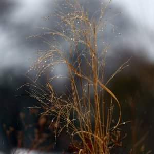 2026-03-03 ~ R52_4146.jpg