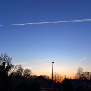 IMG_9233.jpeg