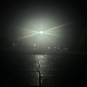 IMG_8286.jpeg