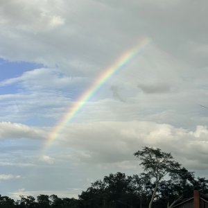 IMG_6424.jpeg