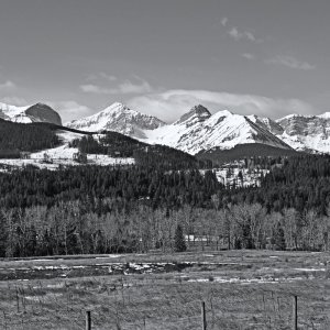 DSC_0107BW.jpg