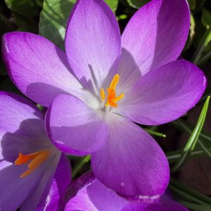 IMG_7828.jpeg