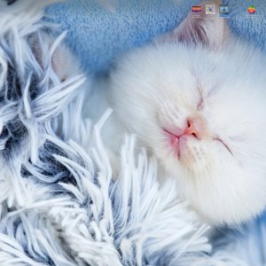 Screenshot 2026-03-09 at 2.47.01 PM.jpg
