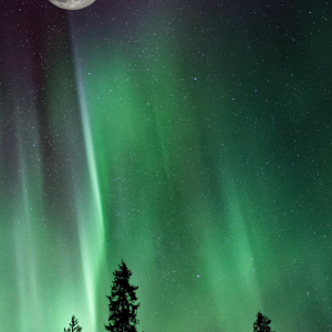 Pixel homescreen.png