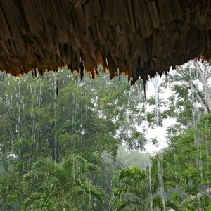 rainydaybelize2k.jpg