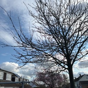 IMG_0019.jpeg