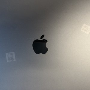 IMG_1339.jpeg
