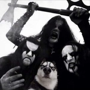 Metal Dog.jpg