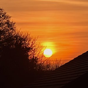 IMG_1056.jpeg