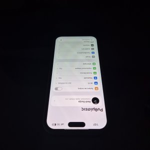 IMG_0009.jpeg