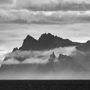 DSC_3109.jpg