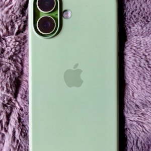 IMG_1654.jpeg