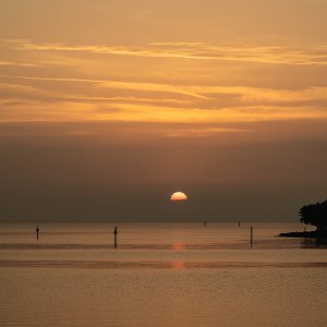 Oyster Point-260201-29.jpg
