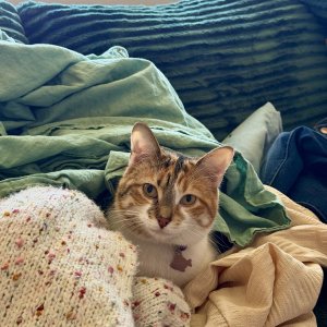 IMG_4714.jpeg