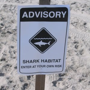 IMG_9299.JPG