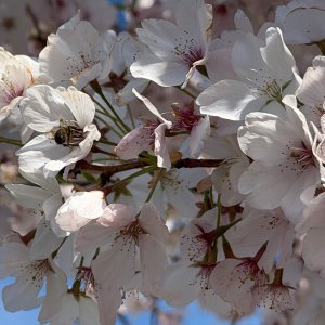 IMG_8607.jpeg