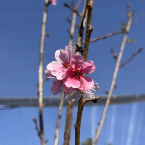 IMG_6514.jpeg