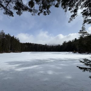 IMG_3576.JPG