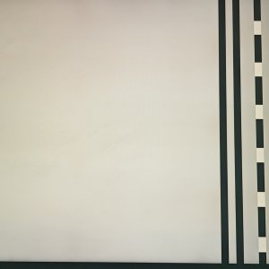 1000103866.jpg