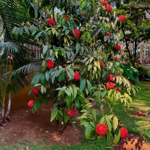 IMG_3312.jpeg