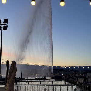 IMG_1978.jpeg