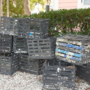 Marco_26_001_2026_03_07_0197.jpg