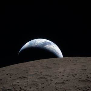 55192084847_0b9940c4b9_o.jpg