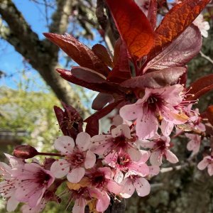 IMG_8789.jpeg