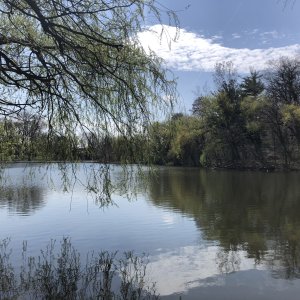 IMG_3081.jpeg