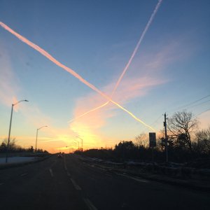 IMG_2046.jpeg