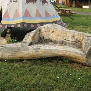 IMG_0420_2.jpg
