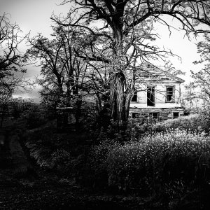 house - 1.jpeg