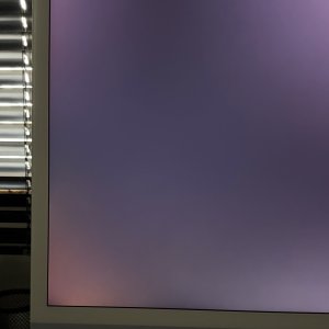 IMG_7204.jpeg