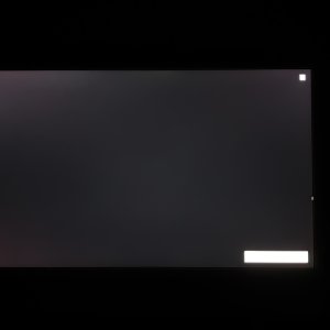 IMG_7216.jpeg