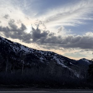 IMG_0010.jpeg