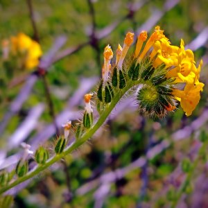 IMG_20260302_093439 cropxv2.jpg