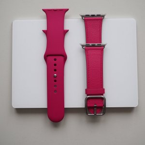 withfuchsia Kopie.JPG