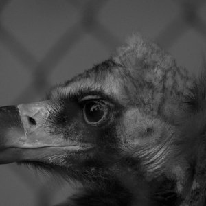 32C8474D-FFDF-494E-BC48-55156DA14732.jpeg