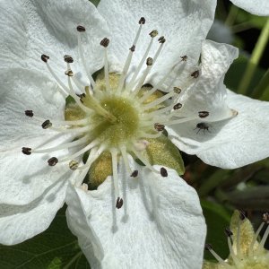IMG_1419.jpeg