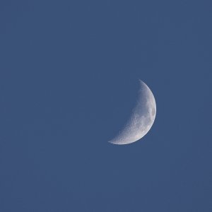 IMG_7926.jpg